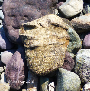 Axe Head Found in N.W. Glacier National Park