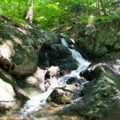 Mountain Stream in Clarke County, Va.