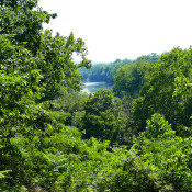View of Shenandoah River in Clarke County, Va.
