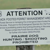Nearby Black-footed Ferret population management area