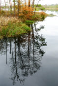 Reflections upon still waters, North Carolina