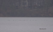 Flock of Common Loon on Swift Creek Reservoir, Chesterfield, VA