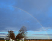 Rainbow in Prince George County, VA